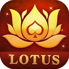 teen patti carcle download